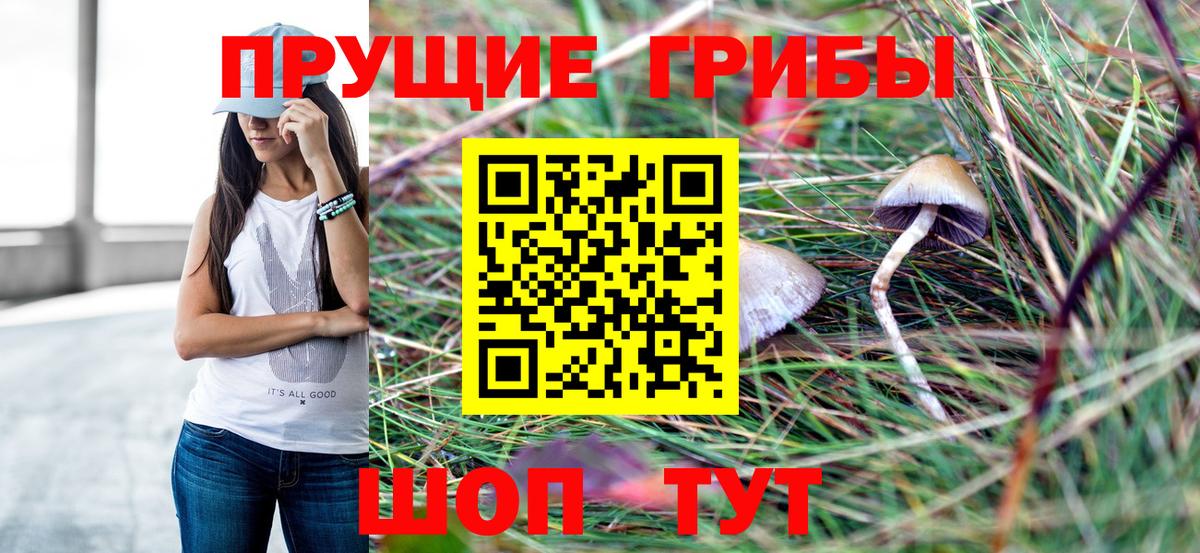 Псилоцибиновые грибы GOLDEN TEACHER Петропавловск-Камчатский