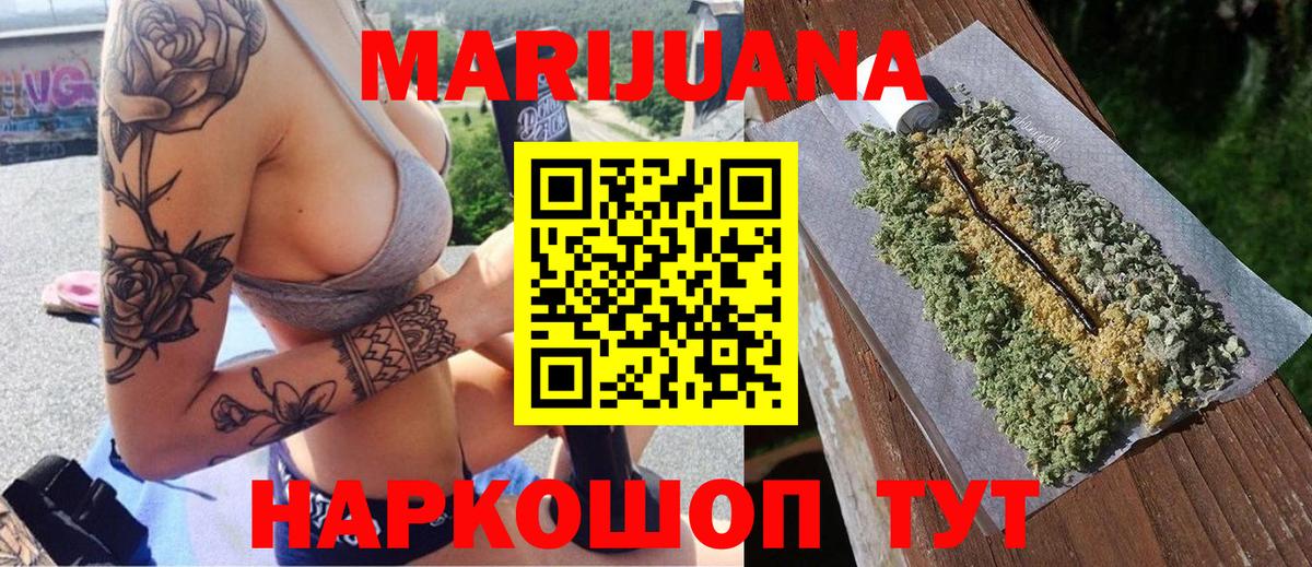 Бошки Шишки план Петропавловск-Камчатский